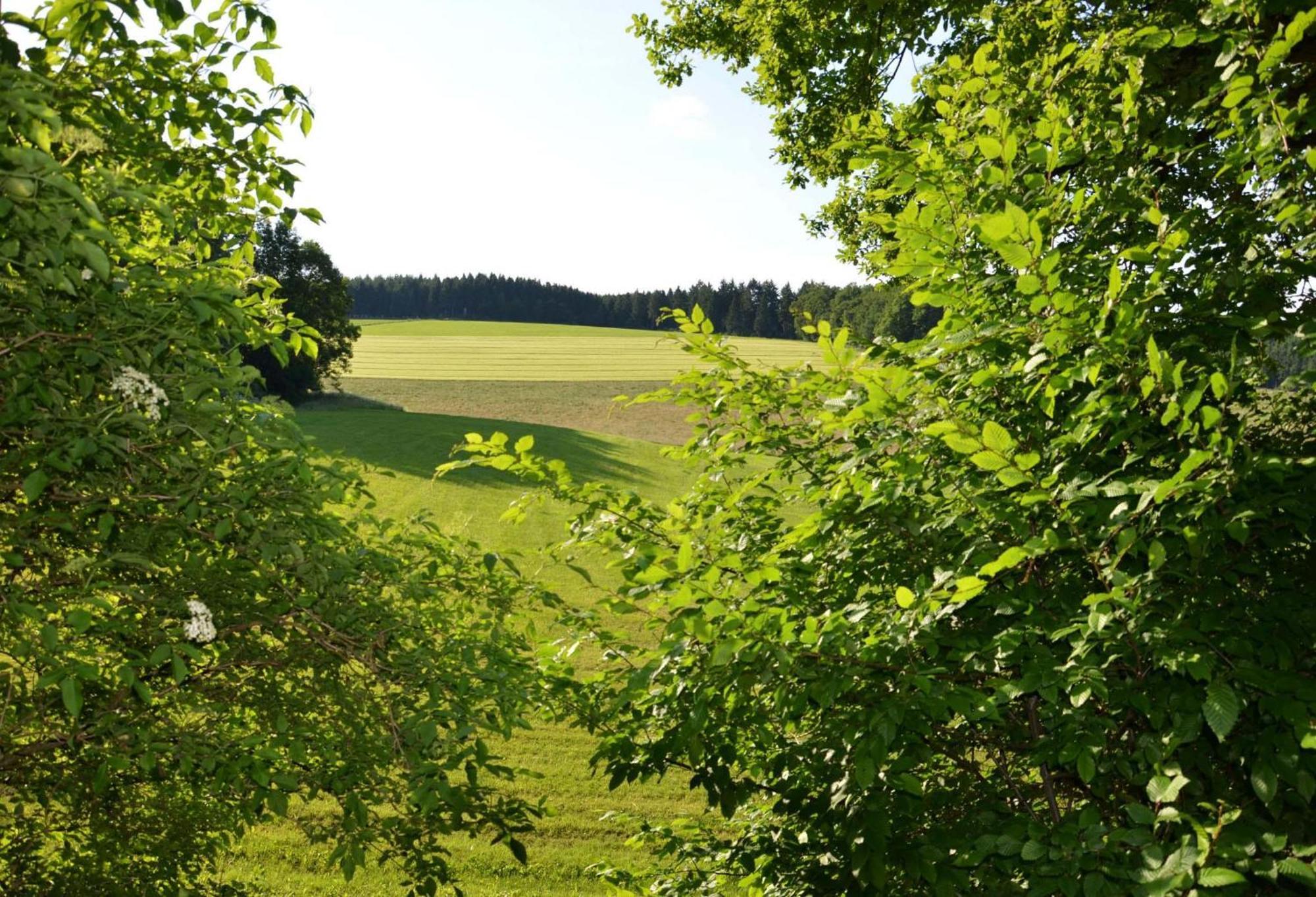 Das Ferienhaus Mondschein Im Land Der Tausend Berge - Erholung Pur In Idyllischer Alleinlage Lennestadt Exterior foto